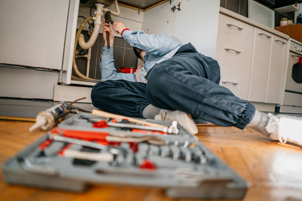 Best Plumbing Repair Near Me  in Zephyrhills, FL