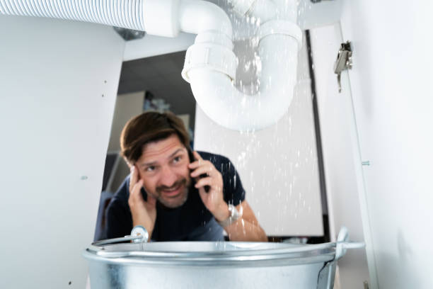 Best Sprinkler Systems  in Zephyrhills, FL