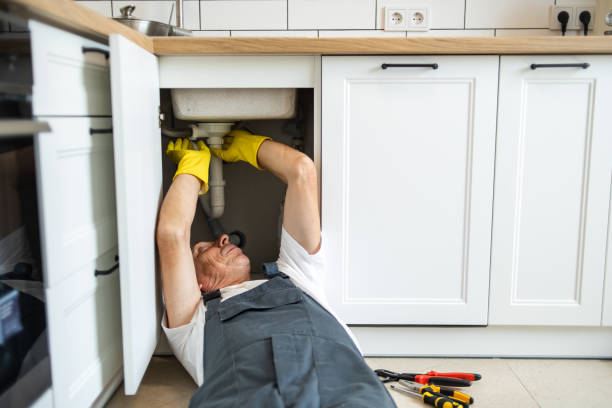 Best Local Plumber Services  in Zephyrhills, FL