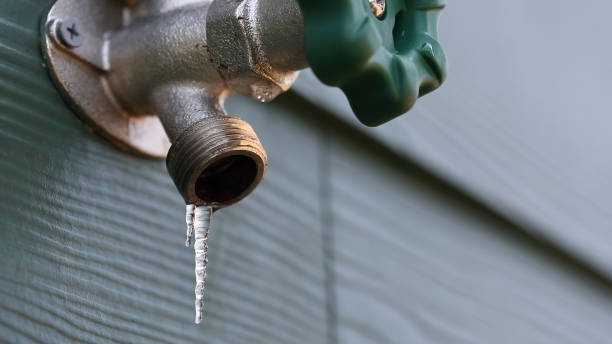 Best Best Plumbers Near Me  in Zephyrhills, FL