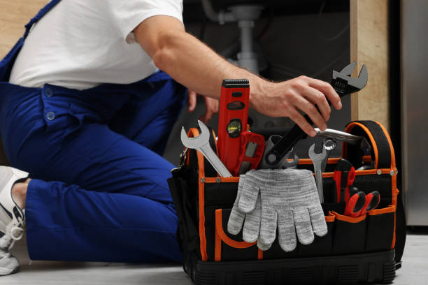 Best Local Plumber Services  in Zephyrhills, FL