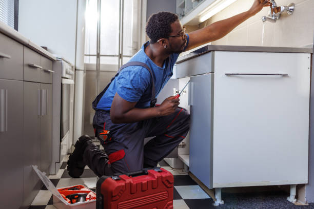 Best Faucet Repair  in Zephyrhills, FL